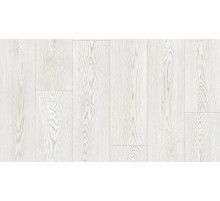 Линолеум Tarkett Club Evora 1